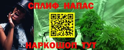 крисы Краснодар