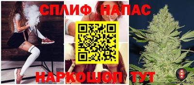 МДПВ Краснознаменск