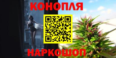 крисы Краснодар