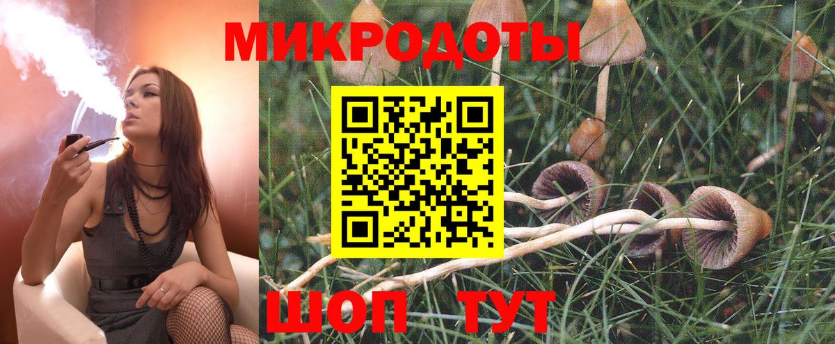 Галлюциногенные грибы Psilocybe Дятьково