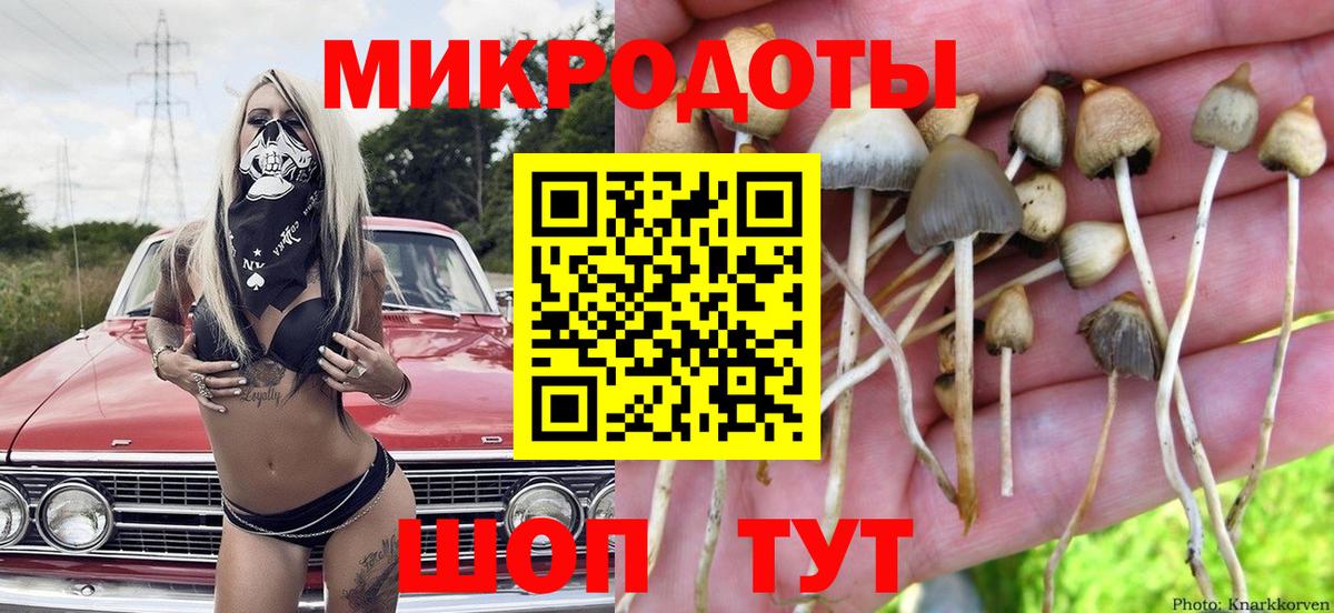 Дятьково  что такое наркотик  Вход с VPN  Псилоцибиновые грибы MAGIC MUSHROOMS 